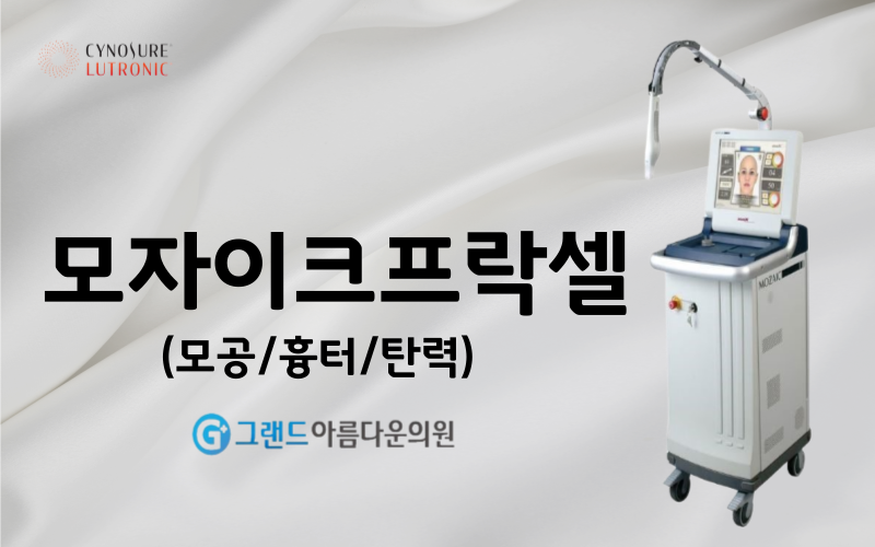 모자이크프락셀