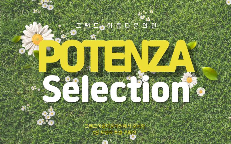 3월 특별 기획전 POTENZA Selection