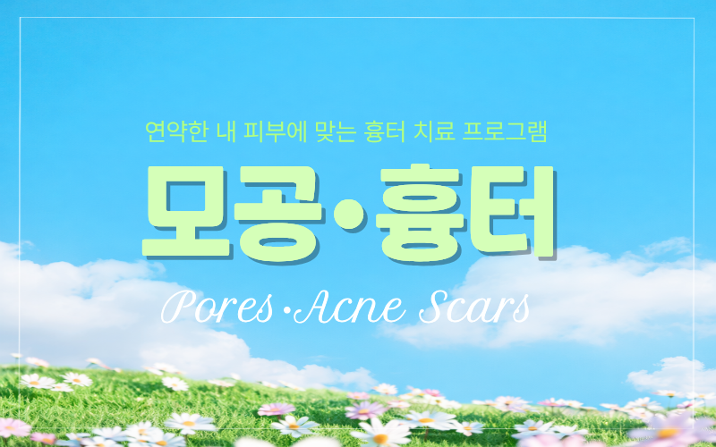 모공, 흉터(얼굴전체)