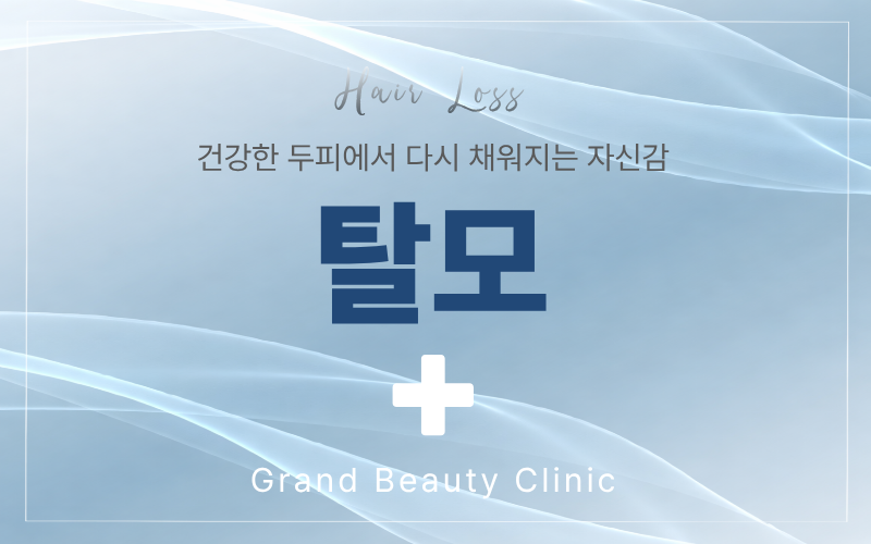 탈모관리