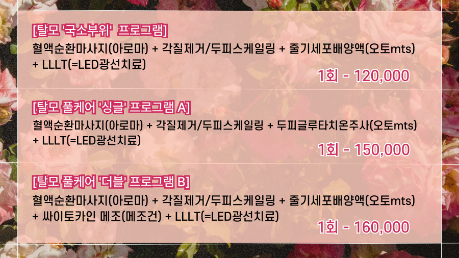 랜딩이미지