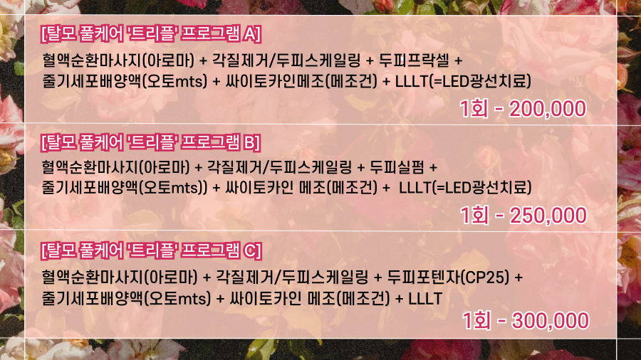 랜딩이미지