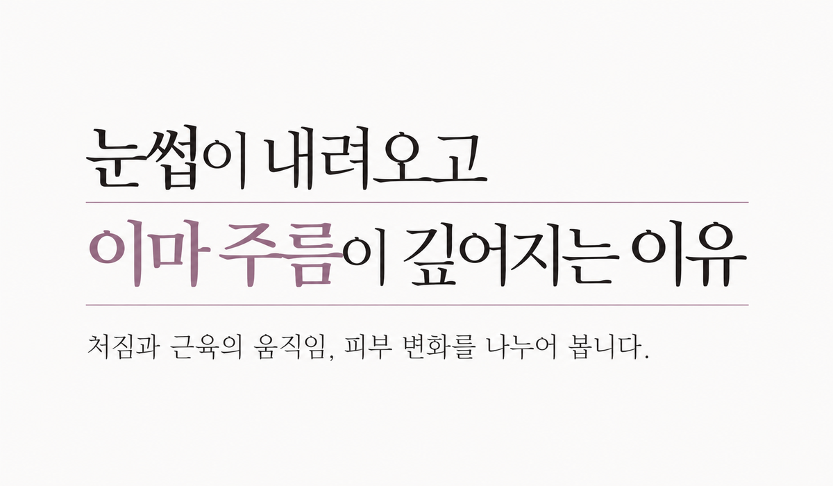 랜딩이미지
