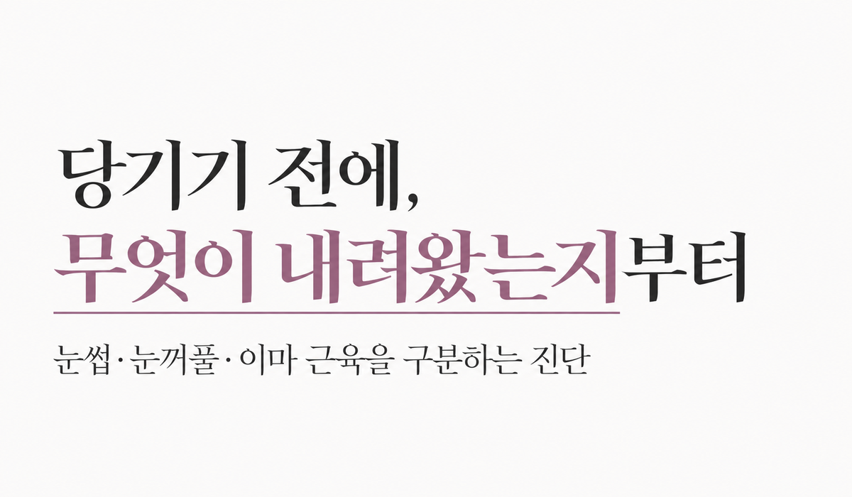 랜딩이미지