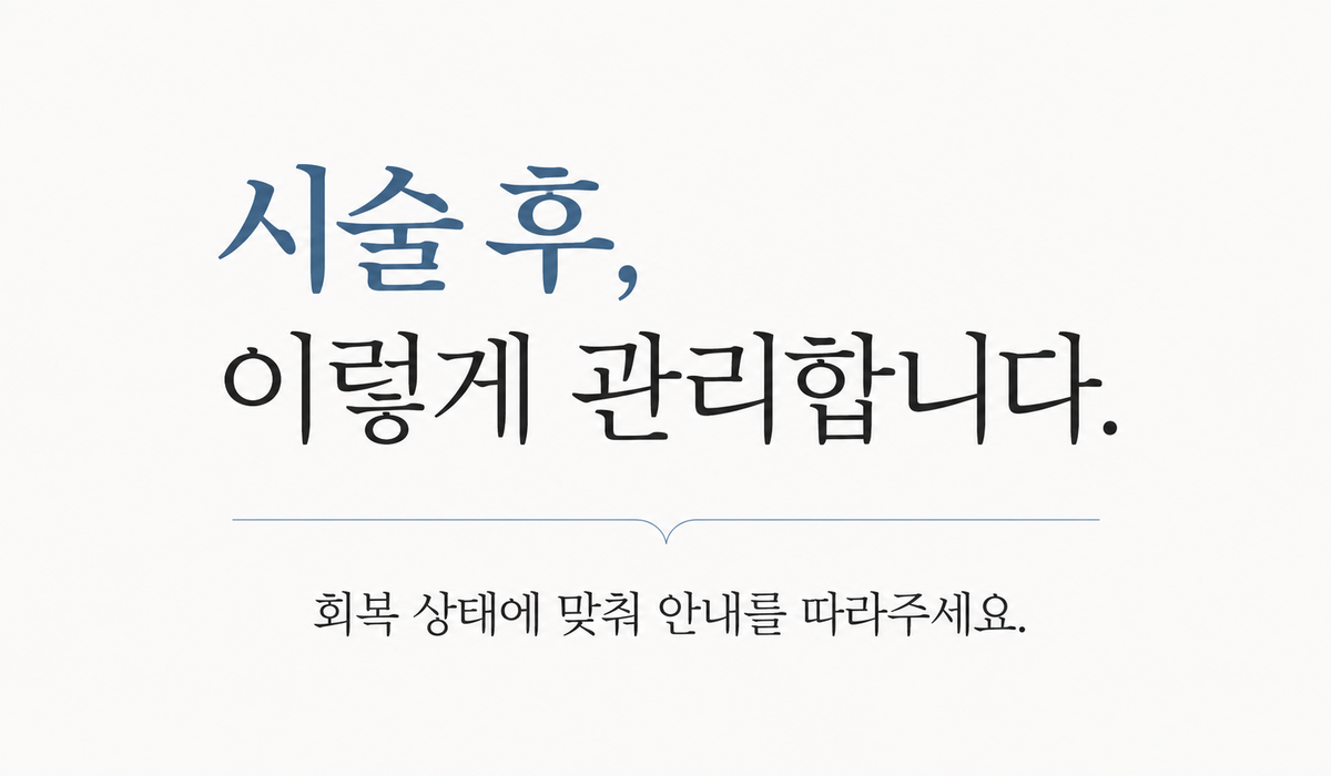 랜딩이미지
