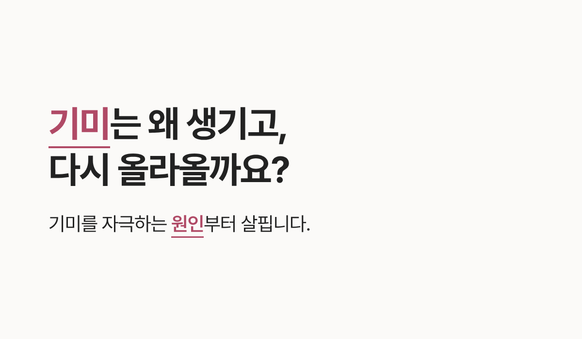 랜딩이미지