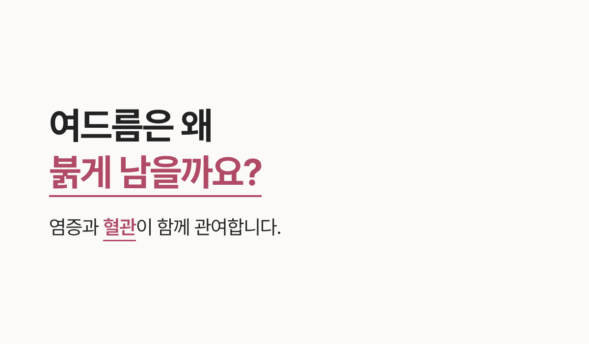 랜딩이미지