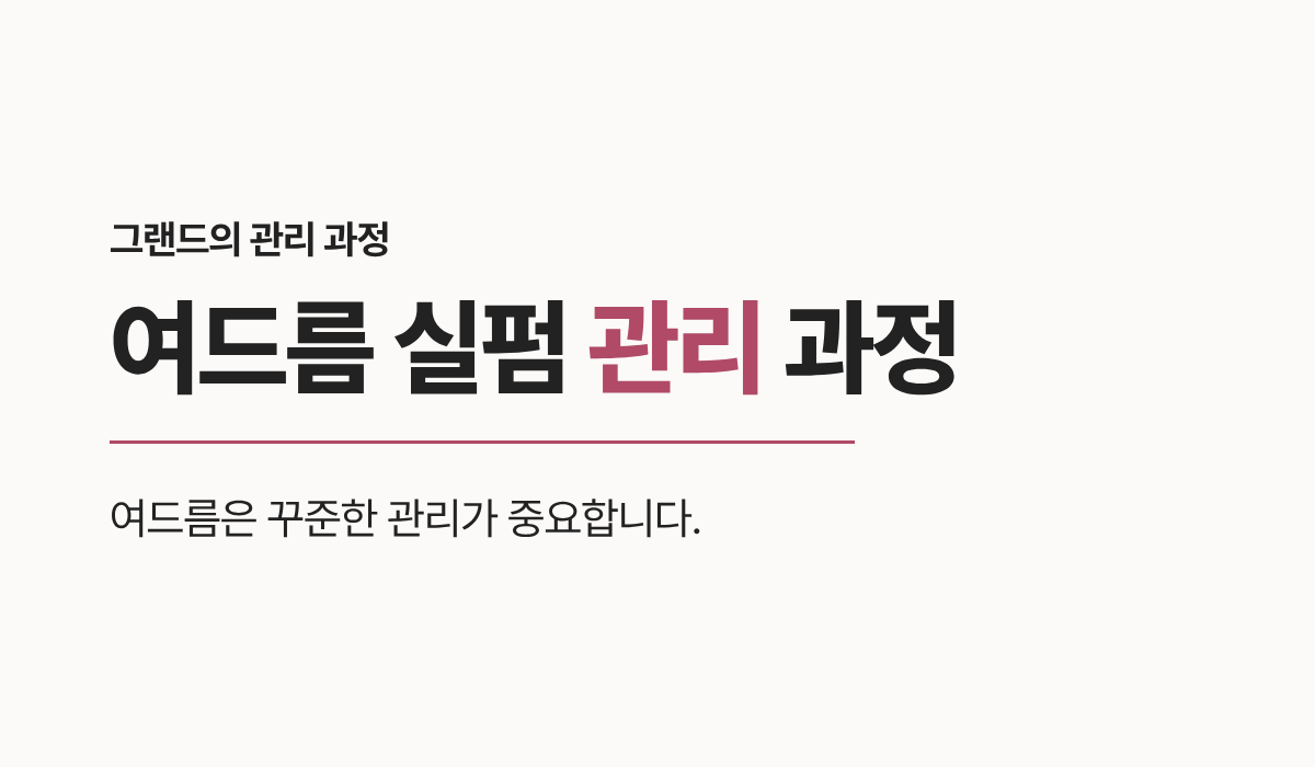 랜딩이미지