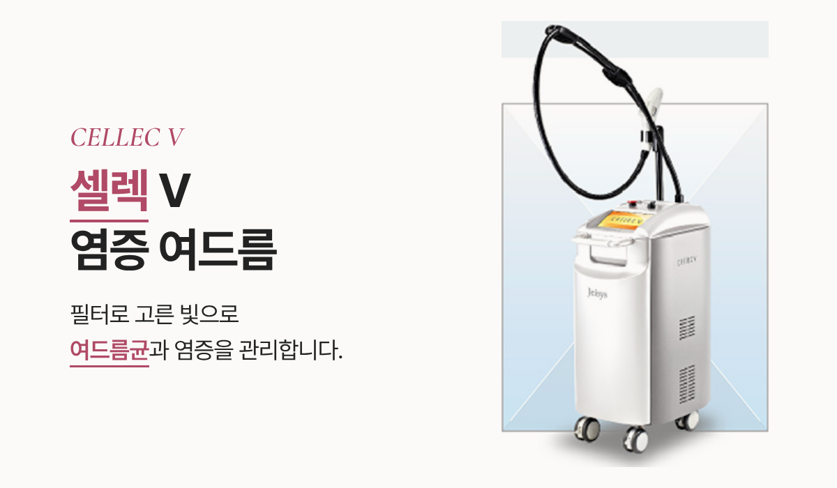 랜딩이미지