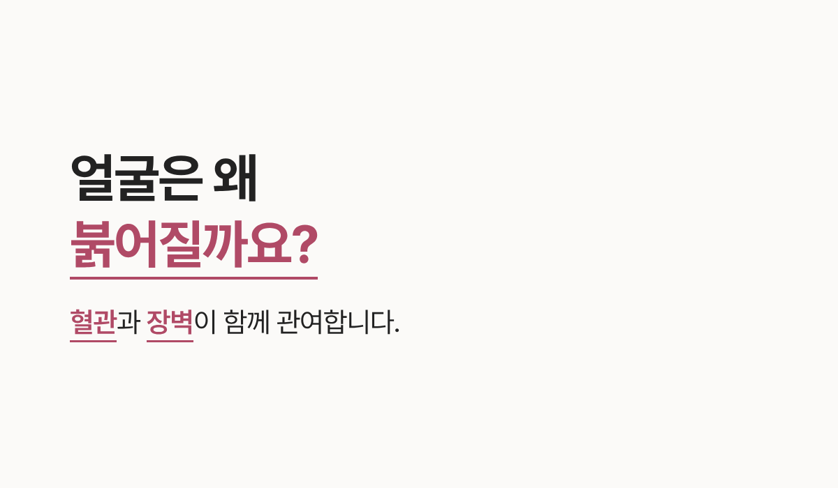 랜딩이미지
