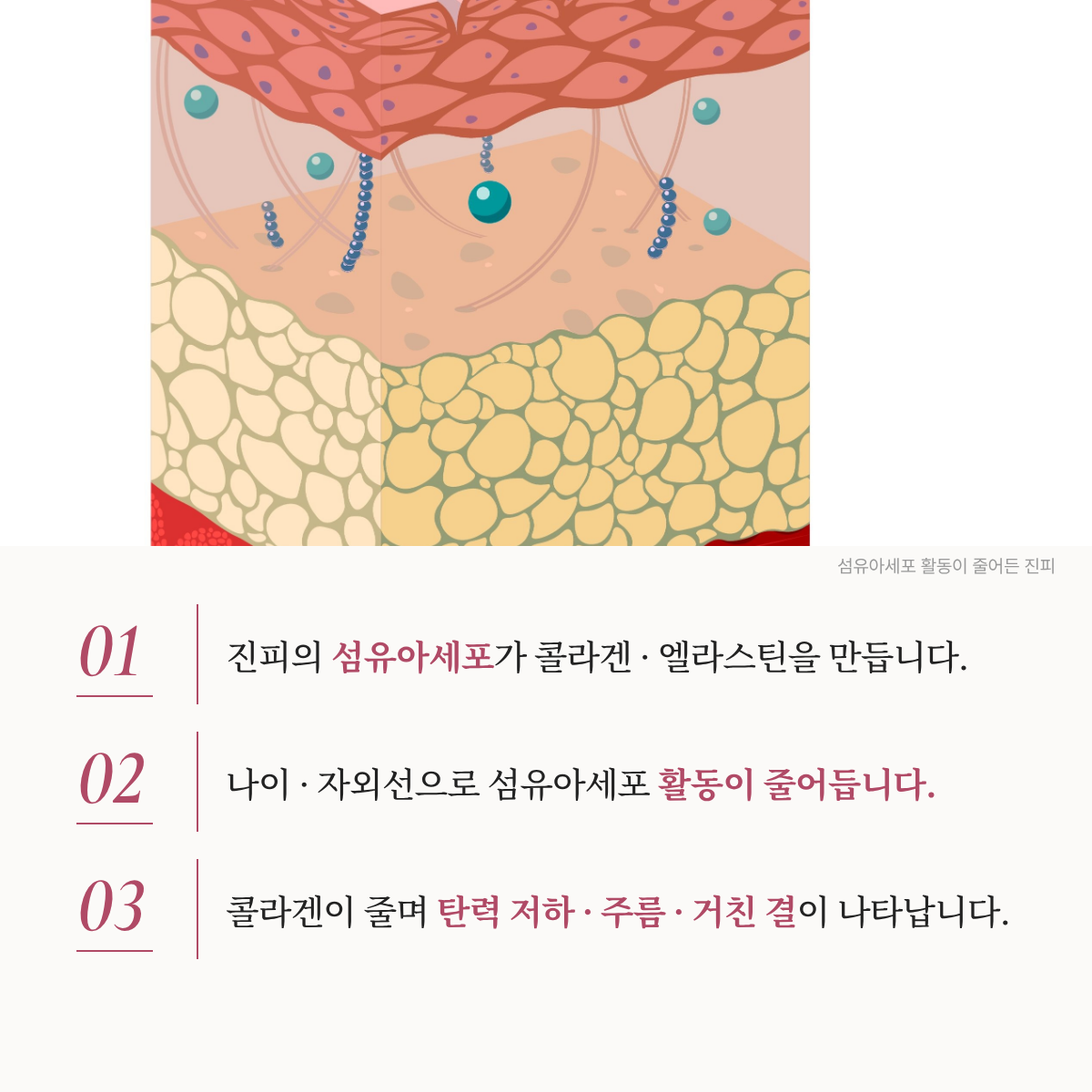 랜딩이미지
