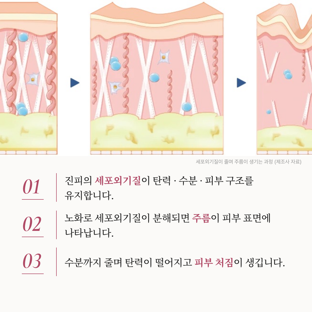 랜딩이미지